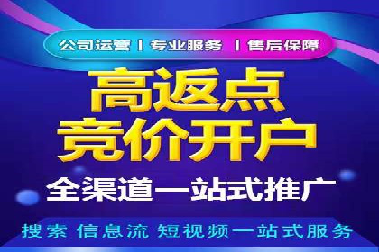 百度推广实战案例：成功之路